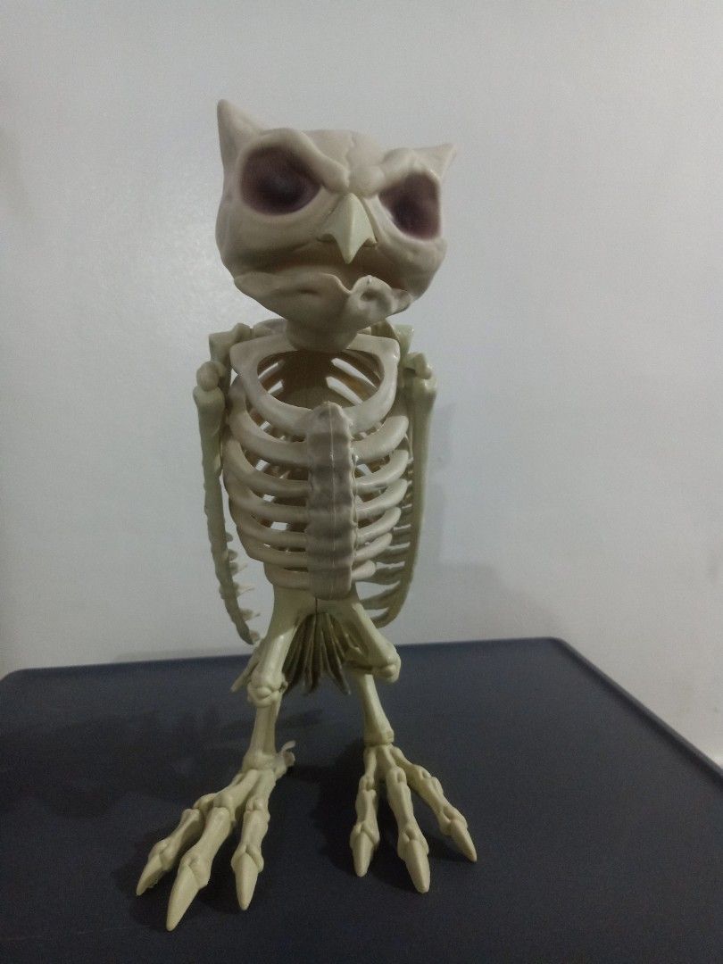 Skeleton owl 1ft (Category: Figurines & Statues) located in Las Pinas. Submitted by the_recycle_shop (Listing ID 1470684253, Image 1). Description: Realistic 1 ft tall.