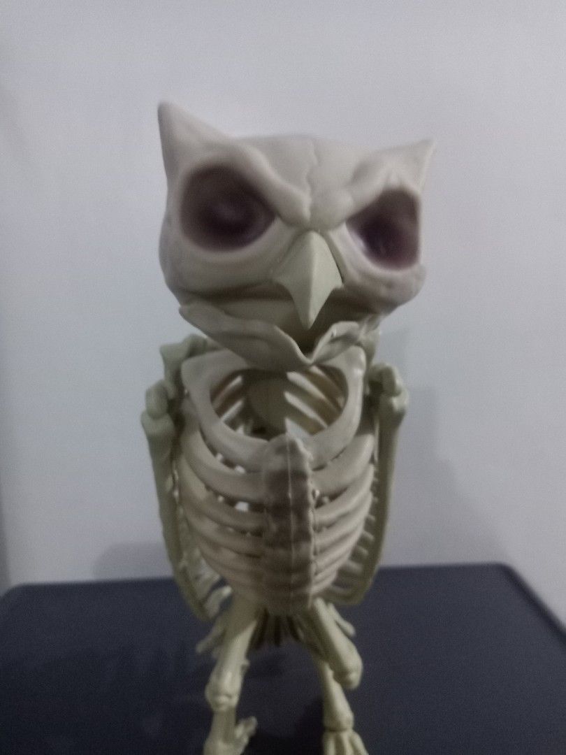 Skeleton owl 1ft (Category: Figurines & Statues) located in Las Pinas. Submitted by the_recycle_shop (Listing ID 1470684253, Image 2). Description: Realistic 1 ft tall.