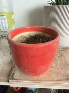 (Category: ) located in . Submitted by everylittlethingx (Listing ID 1470583901, Image 1). Description: .