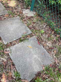 (Category: ) located in . Submitted by metaphy388 (Listing ID 1470584429, Image 1). Description: .