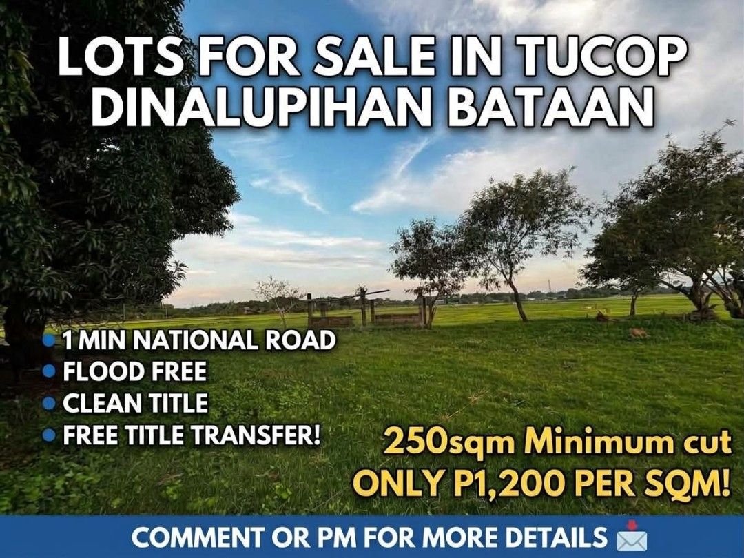 Subdivided lot (Category: Lot) located in Manila. Submitted by seansenday86582 (Listing ID 1470646475, Image 1). Description: PM ME IF INTERESTED.