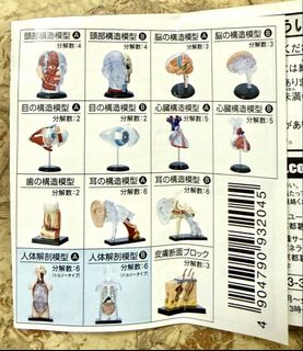 （分類：）位於 。 由 jojochung99 提交（商品編號 1470583322，圖片 1）。簡介： 。