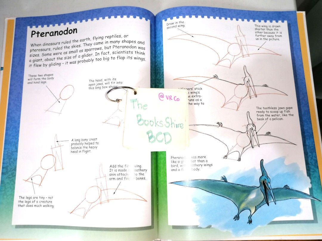 [12 inch] I Can Draw Dinosaur (Hardcover) (Category: Storybooks) located in Bacolod City. Submitted by thebooksshire_bcd (Listing ID 1470897686, Image 3). Description: 📌Authentic 📌Hardcover 📌Matte pages 📌Colored Illustration 📌Complete and No torn Pages 🧧Payment via Gcash, Gotyme, Palawan Pay, or Bank Transfer 📦Delivery via Flash Express, J&T, or LBC 📚The Books Shire BCD in FB 🧚‍♀️.
