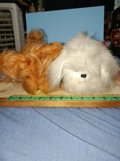 (Category: ) located in . Submitted by kristal68 (Listing ID 1470745342, Image 1). Description: .