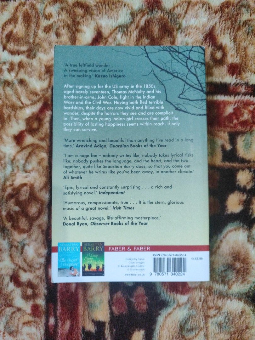 Days Without End by Sebastian Barry Paperback Novel (Category: Storybooks) located in Puerto Princesa. Submitted by jyrxxii. (Listing ID 1470827790, Image 2). Description: - Title: Days Without End by Sebastian Barry - Genre: Queer Fiction, Historical Fiction (Indian Wars & Civil War) - Accolades: Winner of the 2016 Costa Book of the Year & Man Booker Prize 2017 Longlist - Publisher: Faber & Faber - Format: Paperback - ISBN: 978-0-571-34022-4 - C