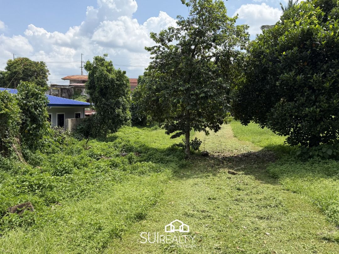 For Sale : Farm Lot Silang Cavite, Property, For Sale, Lot on Carousell