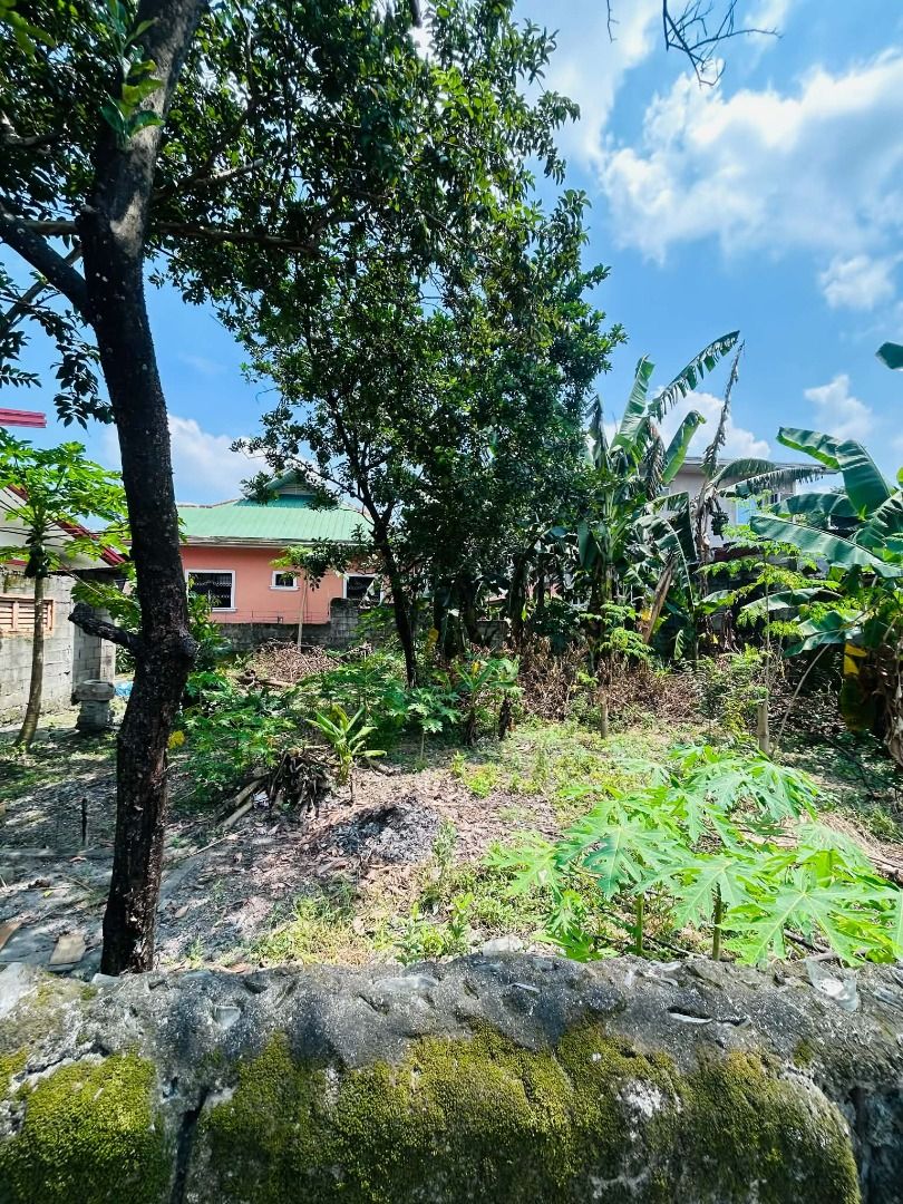 LOT FOR LEASE (Category: Lot) located in Quezon City. Submitted by elainemoira26 (Listing ID 1470801884, Image 2). Description: 🚨 PRIME COMMERCIAL LOT FOR LEASE 🚨 Long-Term Contract Available 📍 Brgy. Valdez, Floridablanca, Pampanga 📐 Lot Area: 270 SQM Position your business in a strategic location with strong growth potential and consistent customer traffic. Why Choose This Location? ✅ Situated near Iglesia Ni Cristo, generating regular foot 