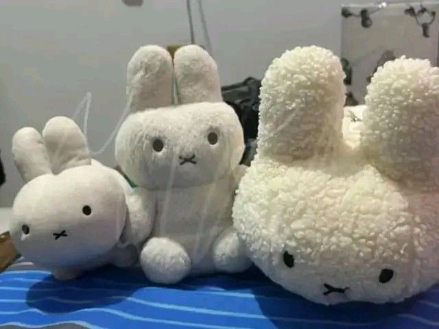 Miffy plushie bundle white rabbit stuffed toys (Category: Plushies & Soft Toys) located in Quezon City. Submitted by mikaurzen (Listing ID 1470816985, Image 1). Description: - Miffy White Rabbit Plush Toy Bundle (Set of 3) - Lying down plush (with tag) - Sitting plush (with tag) - Sherpa textured plush with strap (no tag) - Great addition for Miffy collectors - Condition: Pre-loved, all items need a wash before use - PM for any questions!.