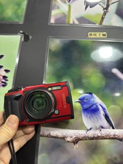 （分類：）位於 。 由 shamwo_114 提交（商品編號 1470848307，圖片 1）。簡介： 。