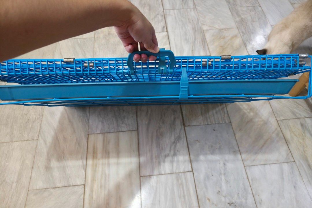 Pet Crates Blue Foldable Metal Cage with Tray (Category: Homes & Other Pet Accessories) located in Lipa City. Submitted by annekn (Listing ID 1470749789, Image 2). Description: - Durable pet crate suitable for small to medium dogs or cats - Includes a matching removable plastic tray at the bottom for easy cleaning - Folds completely flat with a built-in carrying handle for convenient storage and transport - Features a secure latch closure to keep
