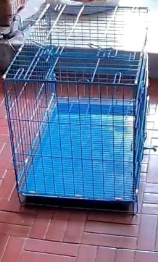 Pet Crates Blue Foldable Metal Cage with Tray (Category: Homes & Other Pet Accessories) located in Lipa City. Submitted by annekn (Listing ID 1470749789, Image 3). Description: - Durable pet crate suitable for small to medium dogs or cats - Includes a matching removable plastic tray at the bottom for easy cleaning - Folds completely flat with a built-in carrying handle for convenient storage and transport - Features a secure latch closure to keep