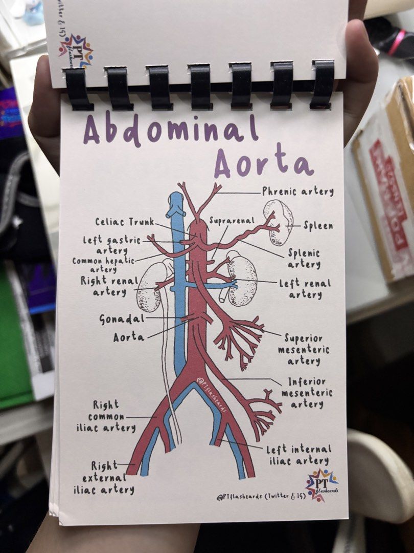 PT Physical Therapy Flashcards Anatomy (Category: Textbooks) located in Manila. Submitted by psoasmajor_ (Listing ID 1470908172, Image 3). Description: .