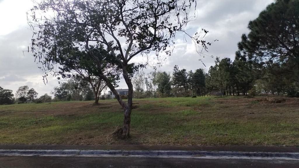 (Category: ) located in . Submitted by ledesmapropertiesph (Listing ID 1470831396, Image 1). Description: .