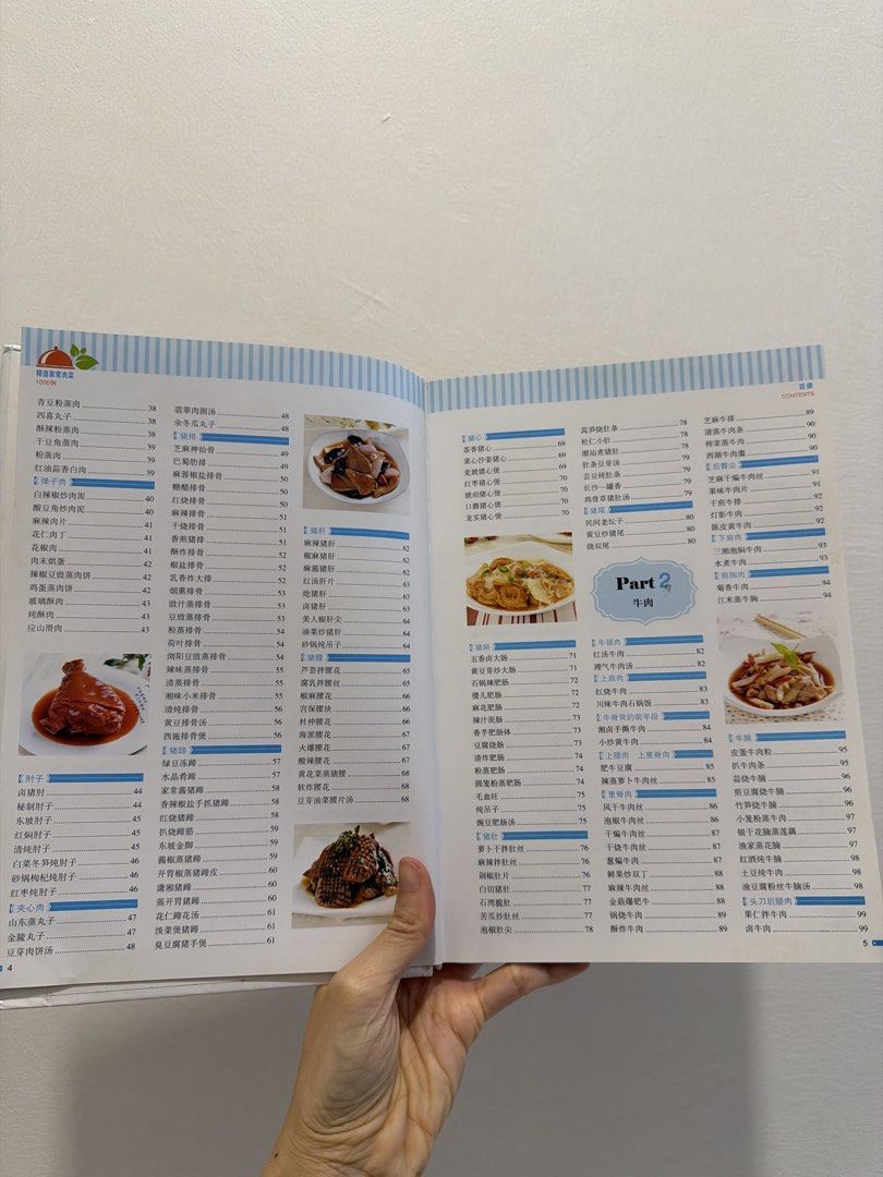 Chinese Meat Dish Recipes Cookbook 1000 Examples, Hobbies & Lifestyle ...