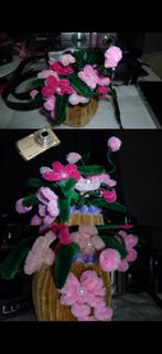 (Category: ) located in . Submitted by sulyapdigicams (Listing ID 1471037305, Image 1). Description: .