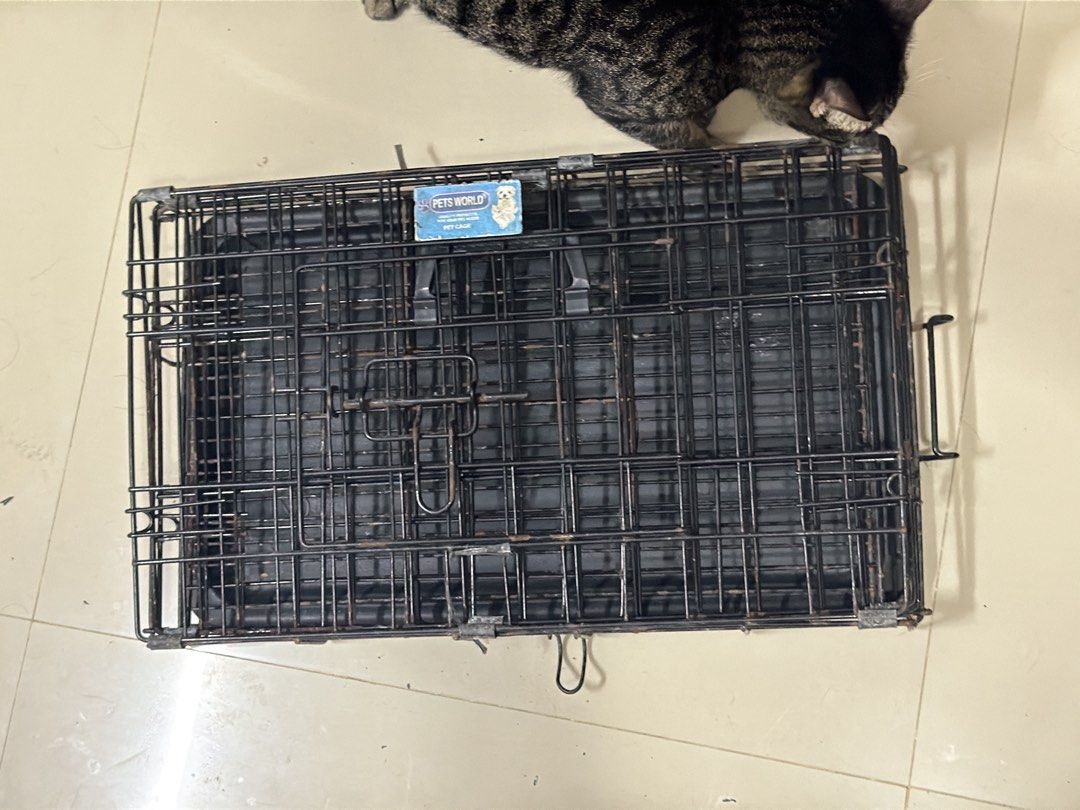Metal Pet Cage With Plastic Tray (Category: Homes & Other Pet Accessories) located in Consolacion. Submitted by wnpia (Listing ID 1471093954, Image 3). Description: - Brand: Pets World - Ideal for small pets (training or transport) - Sturdy metal wire construction with visible rust spots from past use - Secure latch closure on the front door - Convenient top handle for easy carrying - Includes a removable black plastic tray for hassle-free cleani