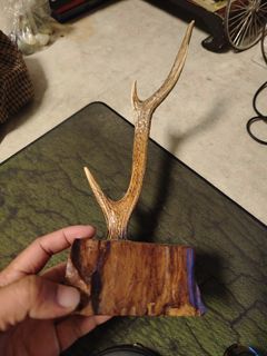 (Category: ) located in . Submitted by georgelmar99205 (Listing ID 1471070398, Image 1). Description: .