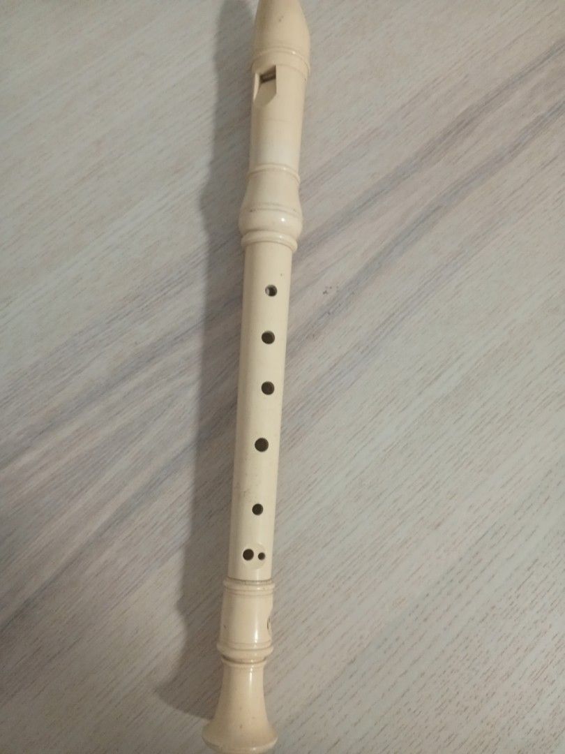 Plastic musical recorder flute wind instrument, Hobbies & Lifestyle ...