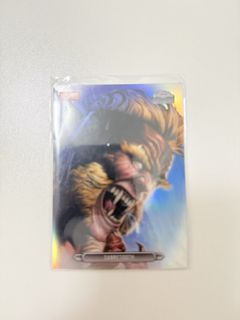 （分類：）位於 。 由 kc.collectverse 提交（商品編號 1471071206，圖片 1）。簡介： 。