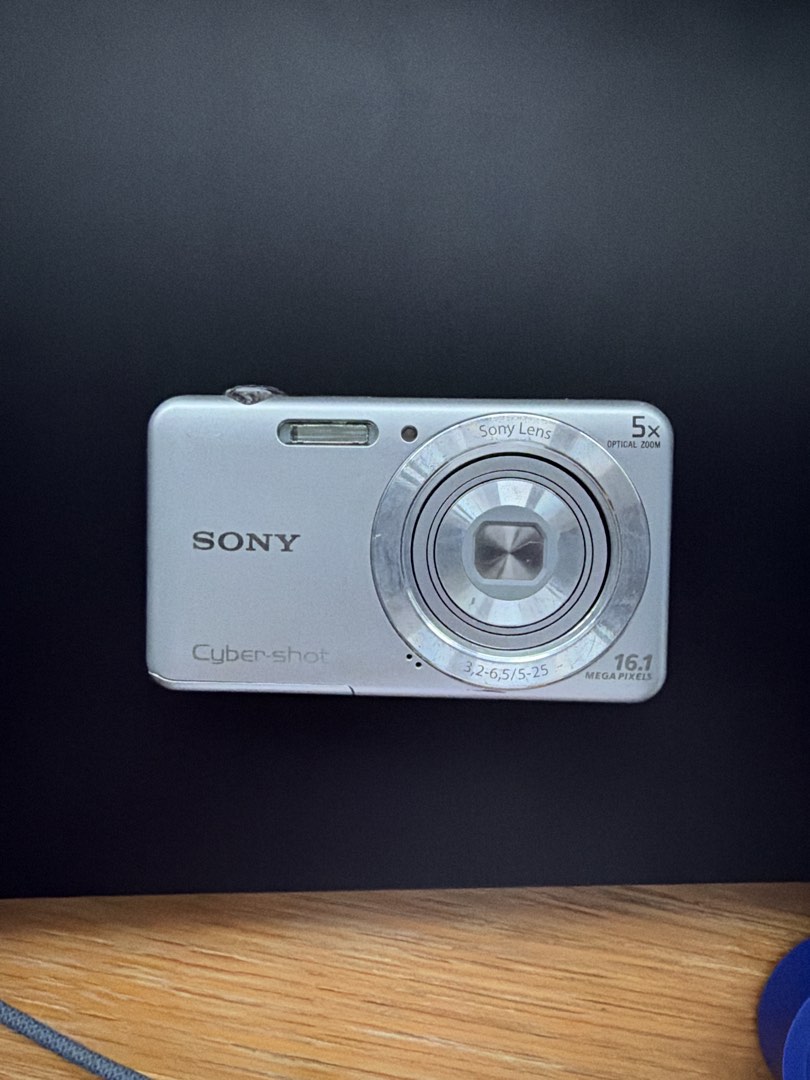 Sony Cyber-shot 16.1 Megapixels 5x Optical Zoom Camera, Photography ...