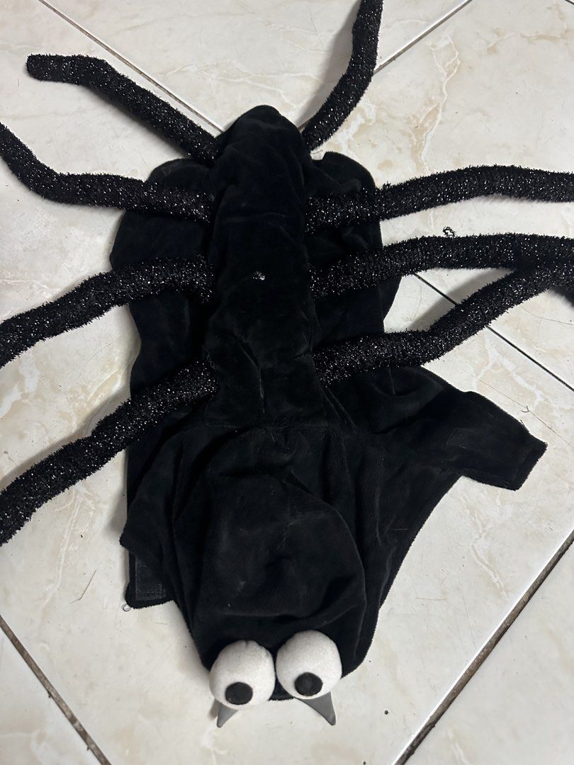 Spider halloween costume for pets medium (Category: Homes & Other Pet Accessories) located in Angeles City. Submitted by goodbuysathome (Listing ID 1470952483, Image 1). Description: Add sf 50 Gcash payment.