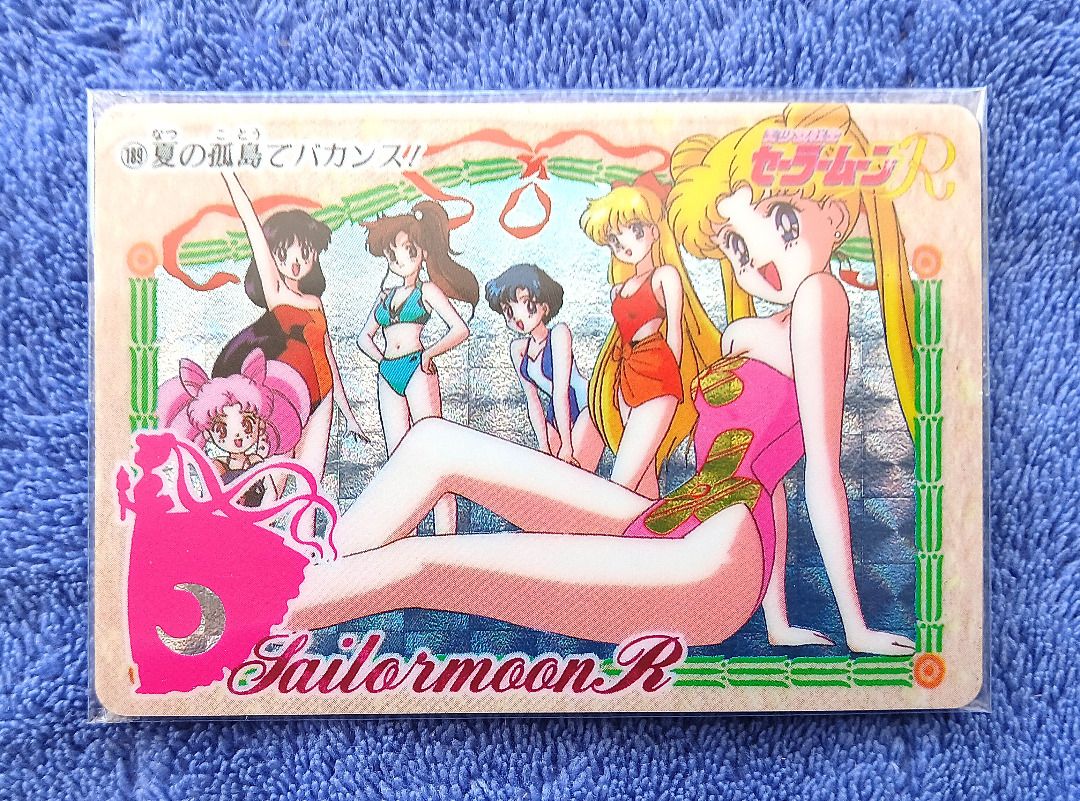 Usagi Tsukino Minako Aino Rei Hino Ami Mizuno Makoto Kino Chibiusa ...