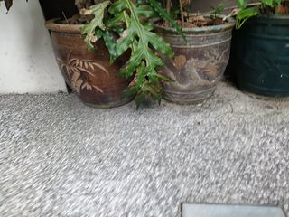 (Category: ) located in . Submitted by larry2888 (Listing ID 1470974462, Image 1). Description: .