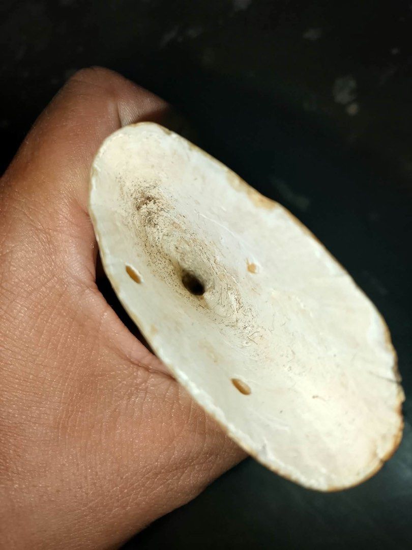 Vintage Sperm Whale Tooth (Category: Necklaces) located in Malolos. Submitted by jjantiques (Listing ID 1470992628, Image 3). Description: Vintage Sperm Whale Tooth - Unique curio piece crafted from genuine tooth or tusk material - Creamy off-white color with natural grain lines and hollow interior showing organic texture - Conveniently drilled near the top edge with twine string attached for easy hanging - Hand-sized measurement, ideal for displ
