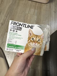 （分類：）位於 。 由 iriszzz 提交（商品編號 1465708118，圖片 1）。簡介： 。