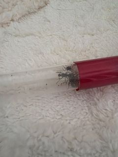 (Category: ) located in . Submitted by sellfastsellcheap (Listing ID 1465615637, Image 1). Description: .