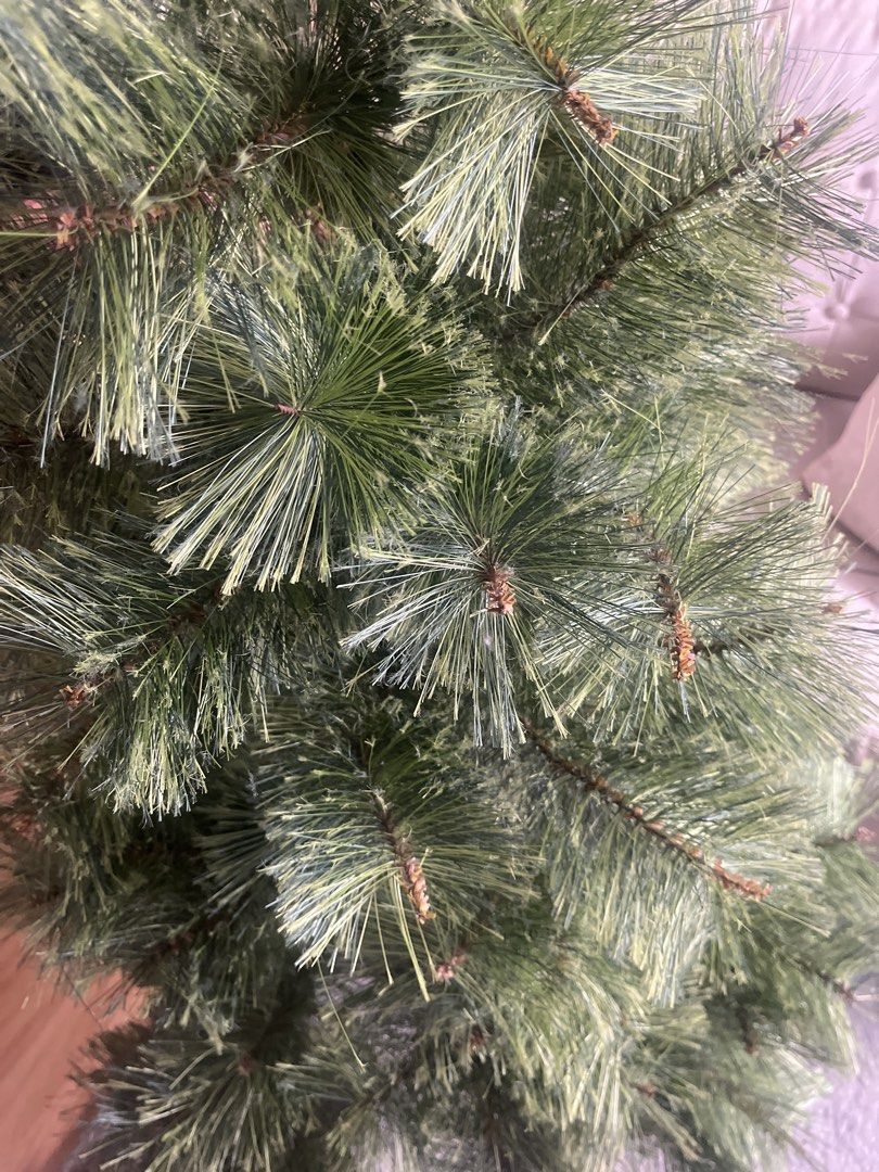 5 ft christmas tree (Category: Other Home Decor) located in Pasig City. Submitted by jnzmrq1003 (Listing ID 1465594803, Image 3). Description: Ideal for condos and small spaces.