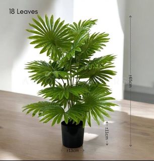 (Category: ) located in . Submitted by altonflowerscomm (Listing ID 1465597460, Image 1). Description: .
