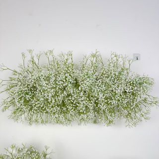 （分類：）位於 。 由 sellsomething531 提交（商品編號 1465680033，圖片 1）。簡介： 。