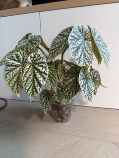 （分類：）位於 。 由 sonder111 提交（商品編號 1465605874，圖片 1）。簡介： 。