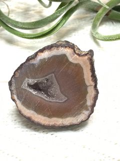 （分類：）位於 。 由 crystal_tree_99 提交（商品編號 1465688236，圖片 1）。簡介： 。
