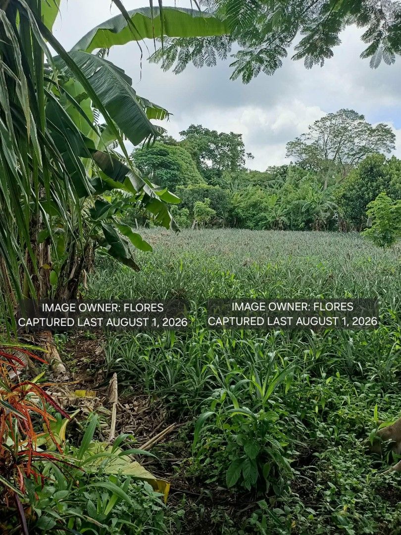 ALFONSO, CAVITE LOT FOR SALE (Category: Lot) located in Manila. Submitted by imnotangel (Listing ID 1465637619, Image 2). Description: 🏡 LOT FOR SALE — ALFONSO, CAVITE Looking for a spacious property near Tagaytay for your future home, rest house, or long-term investment? 📍 Rodeo Countryside Estate Brgy. Esperanza Ilaya, Alfonso, Cavite 📐 Lot Area: 954 sqm 📄 Clean Title 🌿 Peaceful countryside setting with cool weather 🚗 Convenient access to