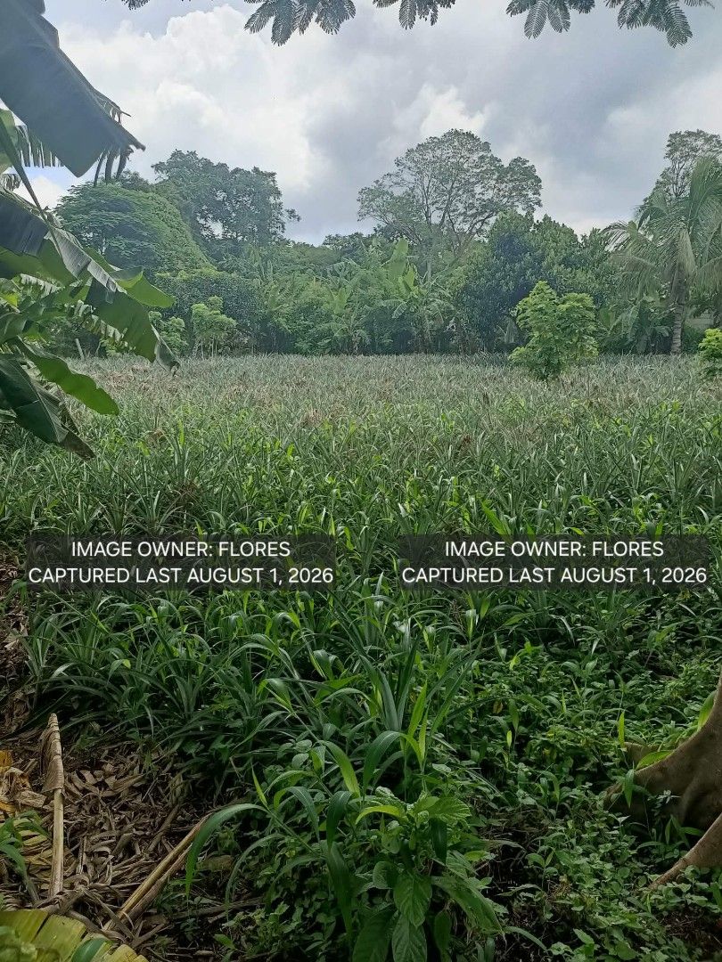 ALFONSO, CAVITE LOT FOR SALE (Category: Lot) located in Manila. Submitted by imnotangel (Listing ID 1465637619, Image 1). Description: 🏡 LOT FOR SALE — ALFONSO, CAVITE Looking for a spacious property near Tagaytay for your future home, rest house, or long-term investment? 📍 Rodeo Countryside Estate Brgy. Esperanza Ilaya, Alfonso, Cavite 📐 Lot Area: 954 sqm 📄 Clean Title 🌿 Peaceful countryside setting with cool weather 🚗 Convenient access to
