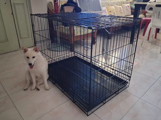 (Category: ) located in . Submitted by pomelolonana (Listing ID 1465698866, Image 1). Description: .