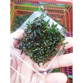 （分類：）位於 。 由 mogo.hk 提交（商品編號 1465638569，圖片 1）。簡介： 。