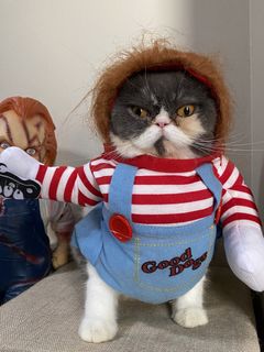 (Category: ) located in . Submitted by meowketplace (Listing ID 1465689882, Image 1). Description: .