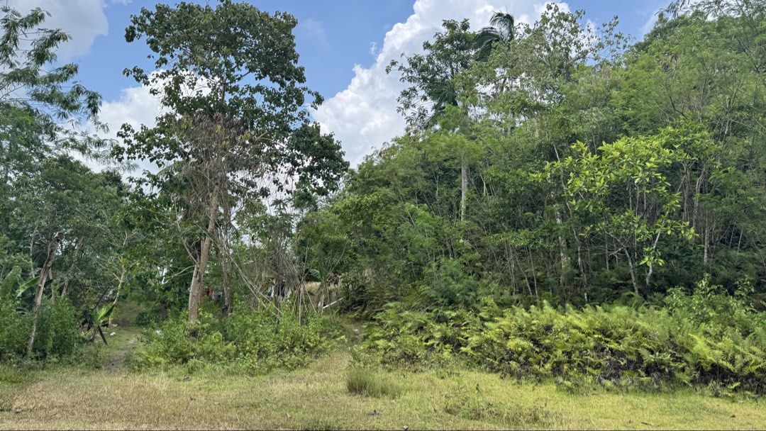 Corella, Bohol countryside lot (Category: Lot) located in Bulacan. Submitted by junieckr03 (Listing ID 1465596540, Image 3). Description: 📍Cancatac, Corella, Bohol 5,664 sqm Access road Titled 1 signatory P550/sqm (negotiable).