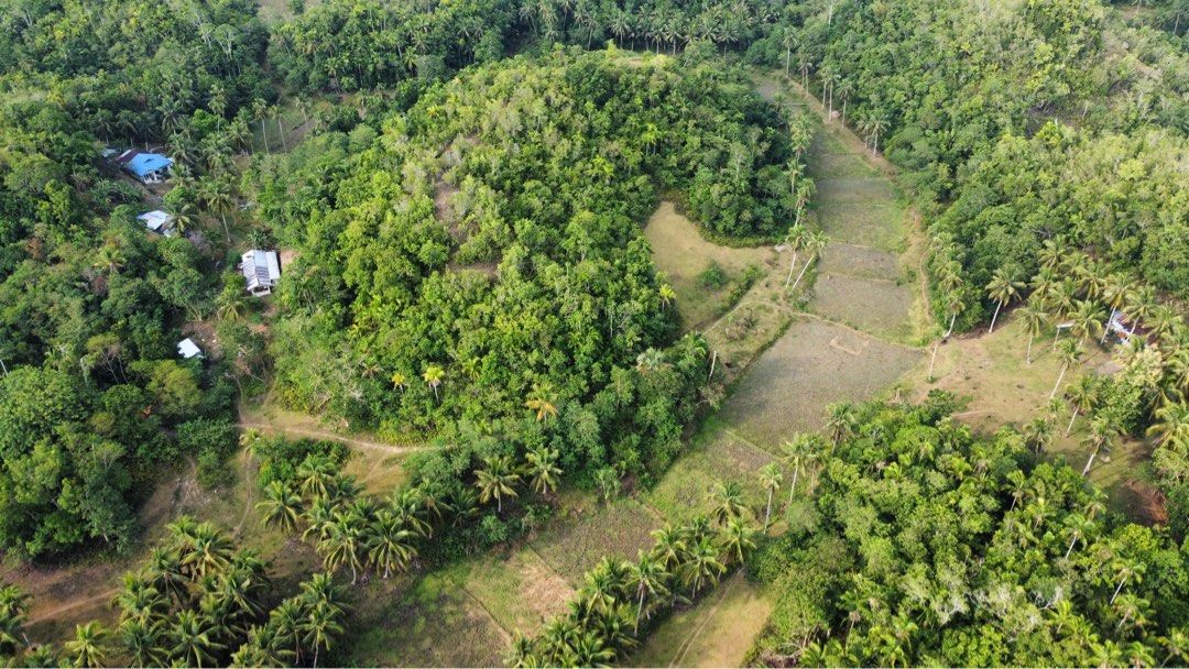Corella, Bohol countryside lot (Category: Lot) located in Bulacan. Submitted by junieckr03 (Listing ID 1465596540, Image 2). Description: 📍Cancatac, Corella, Bohol 5,664 sqm Access road Titled 1 signatory P550/sqm (negotiable).