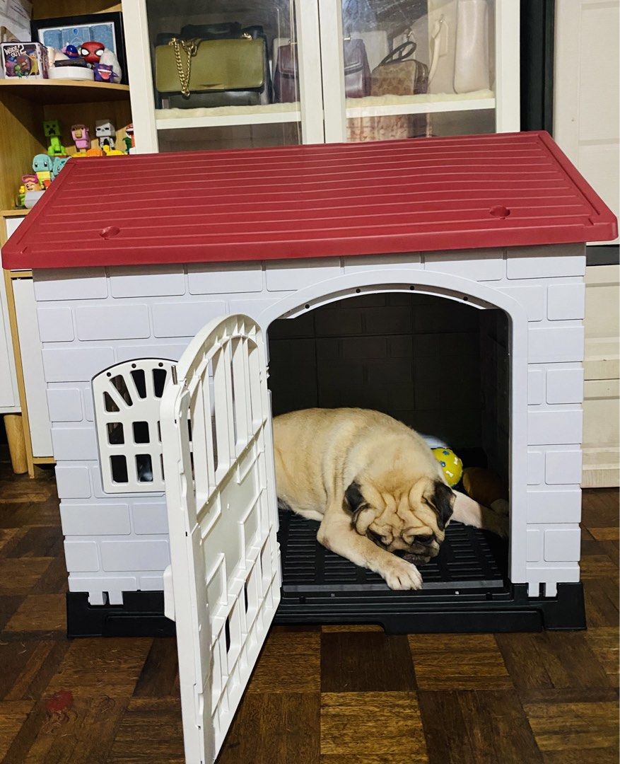 Dog House (Category: Homes & Other Pet Accessories) located in Manila. Submitted by glen_n (Listing ID 1465705279, Image 2). Description: DOG HOUSE FOR SALE! 🏠 Letting go of this cute dog house! Used for only 1 month and still in excellent condition. Perfect for small to medium-sized dogs. ✅Complete with Box ✅No damage / no issues 💰 Bought for ₱3,000 🏷️ Selling for only ₱2,000 RFS: My dog doesn’t want to go inside 😂🐶 So sayang if I just keep