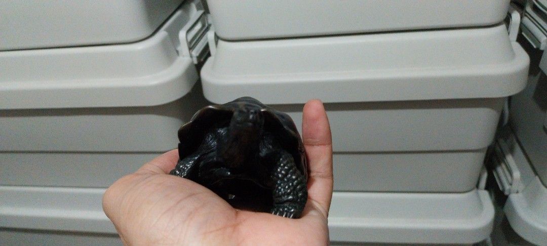 Heavy bronze tortoise turtle figurine sculpture (Category: Figurines & Statues) located in Makati City. Submitted by g3labee (Listing ID 1465693158, Image 3). Description: - Material: Bronze with dark patina finish - Weight: Approx. 787.5 grams - Design: Detailed shell texture, head, and scaled legs - Size: Compact, fits in the palm of your hand - Use: Perfect for desk shelves, paperweights, or home decor displays.