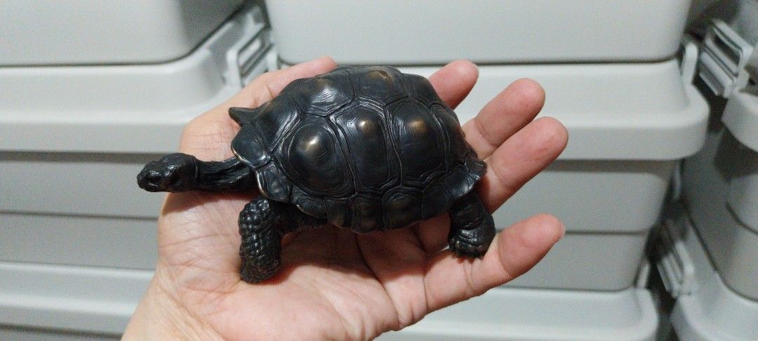 Heavy bronze tortoise turtle figurine sculpture (Category: Figurines & Statues) located in Makati City. Submitted by g3labee (Listing ID 1465693158, Image 2). Description: - Material: Bronze with dark patina finish - Weight: Approx. 787.5 grams - Design: Detailed shell texture, head, and scaled legs - Size: Compact, fits in the palm of your hand - Use: Perfect for desk shelves, paperweights, or home decor displays.