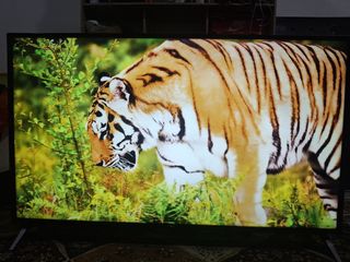 (Category: ) located in . Submitted by adnanakram (Listing ID 1465756228, Image 1). Description: .