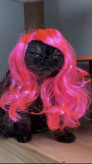 (Category: ) located in . Submitted by meowketplace (Listing ID 1465688901, Image 1). Description: .