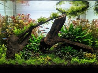 (Category: ) located in . Submitted by elmohi5 (Listing ID 1465614581, Image 1). Description: .