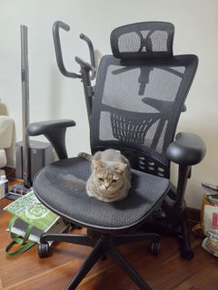 （分類：）位於 。 由 mingoos4294 提交（商品編號 1465683853，圖片 1）。簡介： 。