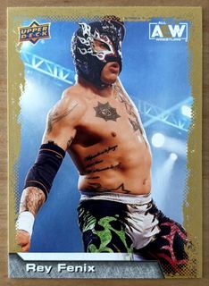 WWE & AEW | Cards & Stickers Collection item 1